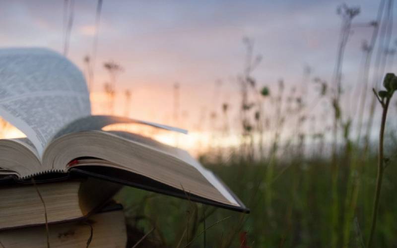 A book is open in the grass near some tall weeds.